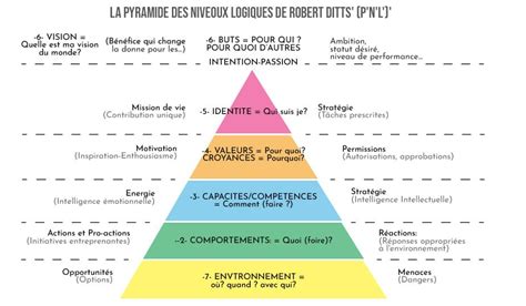 Les Niveaux Logiques De La Pyramide De Dilts Pnl