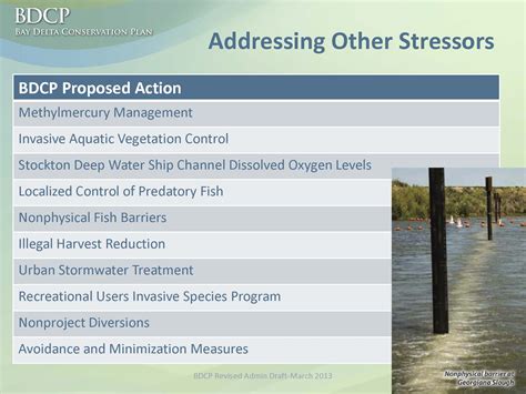 Delta Stewardship Council Hears A Bdcp Update Plus A Frank Discussion