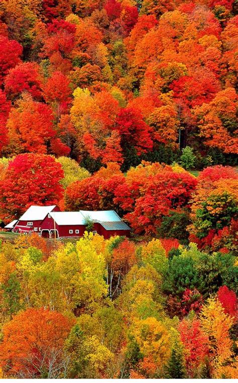 beautiful fall scenery