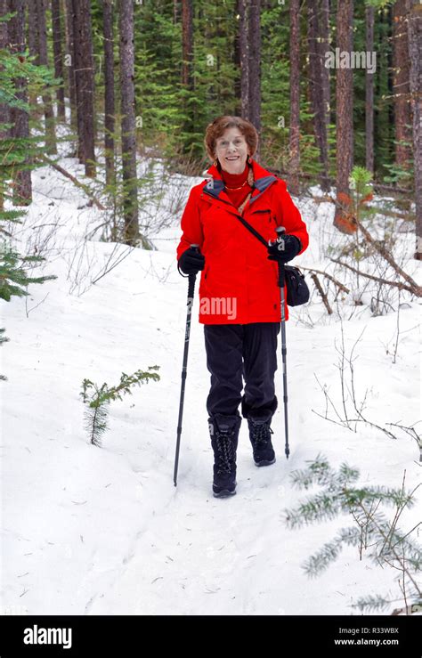 Senior Citizen Hiking In Snowy Winter Trees Conifer Forest Hi Res Stock