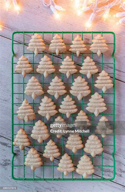 Baked Christmas Sugar Cookies Pressed Shapes On Baking Sheet High-Res ...