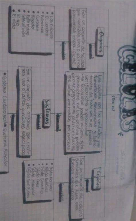 Porfa Me Ayudan A Hacer Un Mapa Conceptual Sobre La Celula Ayuda Doy