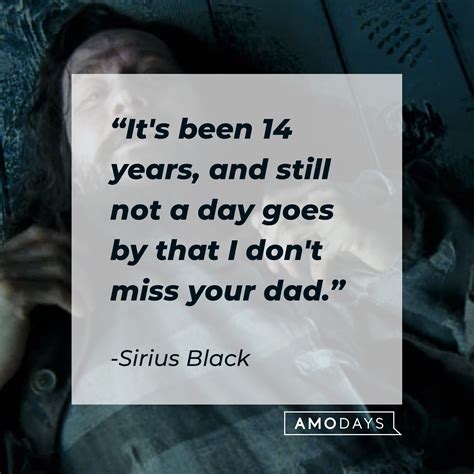 21 Sirius Black’s Quotes: A Tribute to Loyalty, Friendship, and Love