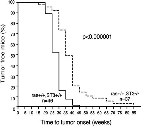 Tumor Free Survival Curves Of Ras ϩ ϩ St3 ϩ ϩ And Ras ϩ ϩ St3 Ϫ