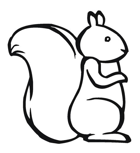 Squirrel Outline Drawing at GetDrawings | Free download