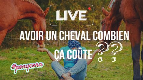 LIVE Combien ça coûte un cheval Entretien soins cours matériel