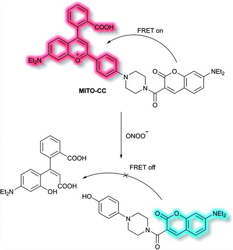 Fluorescent Small Organic Probes For Biosensing Chemical Science Rsc