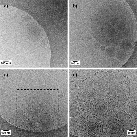 A C A Series Of Three Cryo Tem Images Of Glucosomes Of Aslc