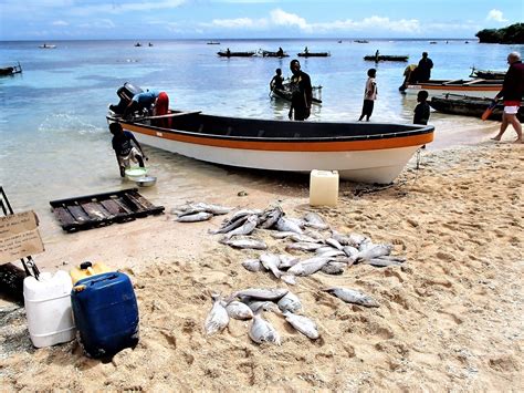 Tezza's Beaches and Islands: KAIBOLA BEACH - KIRIWINA ISLAND - PAPUA ...