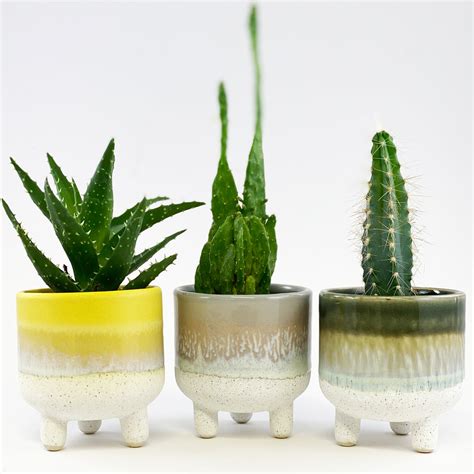 Mojave Glaze Planter Yellow