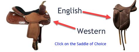 English Saddle Vs Western Saddle Riding Styles Must Have Horse Tack