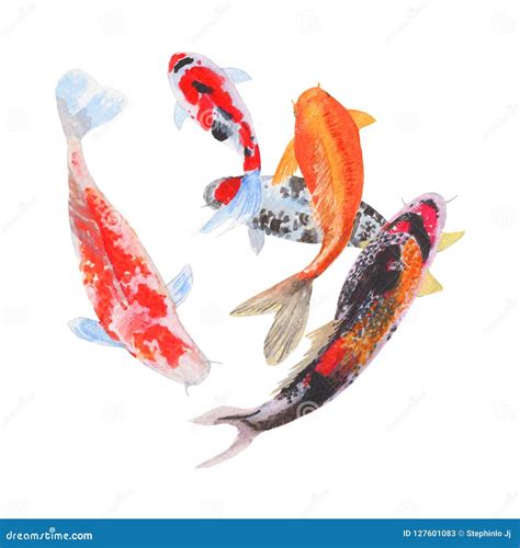 Pintura Da Aquarela Dos Peixes Do Excremento Isolada Ilustra Es