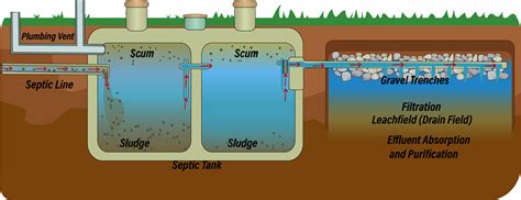 Understanding Leach Fields An Essential Component Of Your Septic