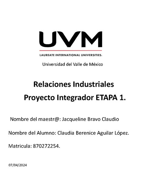 Proyecto Integrador Etapa Universidad Del Valle De M Xico