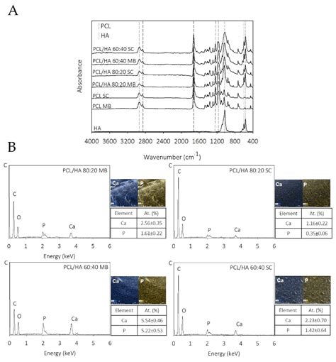 Ijms Free Full Text 3d Printed Poly휀 Caprolactonehydroxyapatite Scaffolds For Bone Tissue