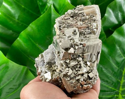 Large Cubes Pyrite From Krushev Dol Minemadanbulgaria Minerals And