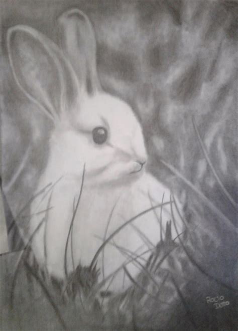 Animales Dibujos Realistas Para Dibujar c mo dibujar animales realistas ...