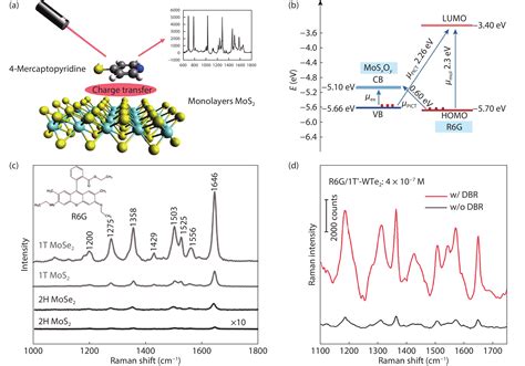 Surface Enhanced Raman Spectroscopy Chips Based On Two Dimensional