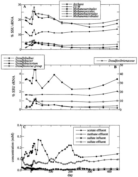 Microbial Structural And Functional Dynamics For The Methanogenic Download Scientific Diagram