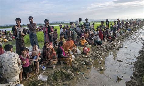 Rohingya Girls Being Sold Into Forced Labour Un World Dawn