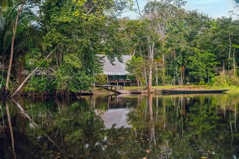 Reserva Nacional Pacaya Samiria La Selva De Los Espejos