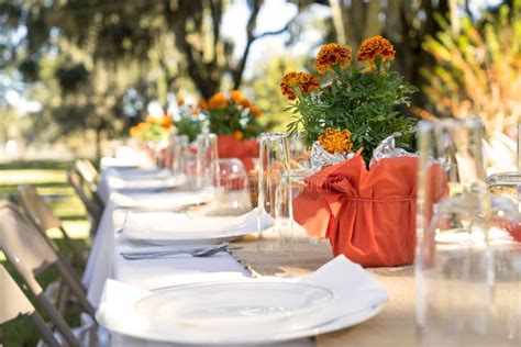 Table Extérieure Mise Pour Le Repas Photo Stock Image Du Personne