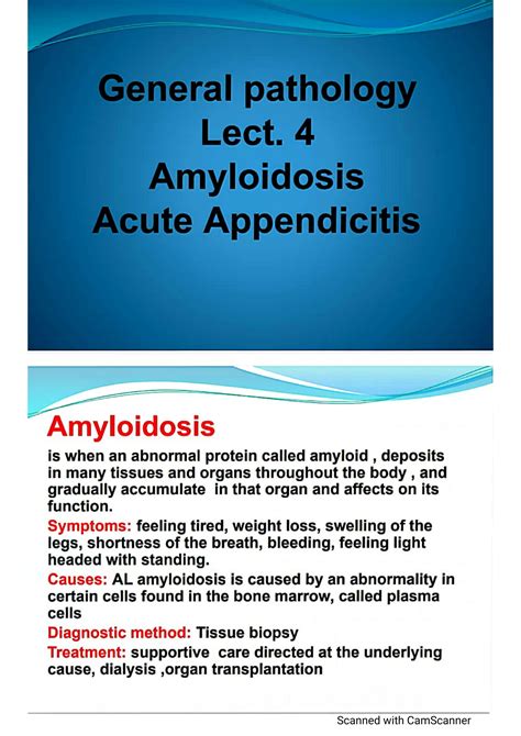 Solution Pathology Amyloidosis Studypool