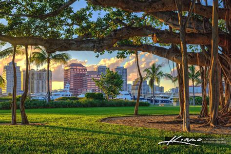 West Palm Beach Skyline Under Banyan Tree From Palm Beach Island Hdr