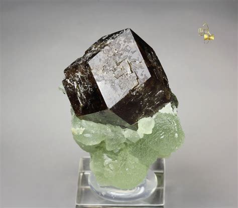 Quebul Fine Minerals Garnet Var Andradite Prehnite