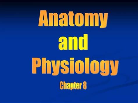 Ppt Anatomy And Physiology Powerpoint Presentation Free Download