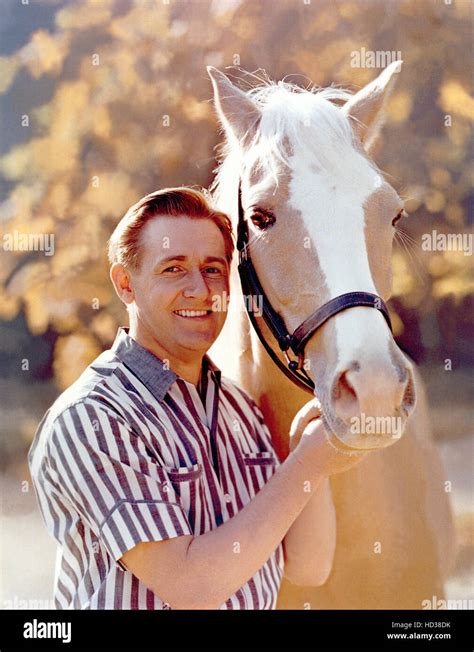 MR. ED, Alan Young, Mr. Ed, 1961-66 Stock Photo - Alamy