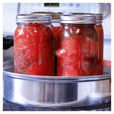 A Really Easy Way To Remove Lectins From Tomatoes