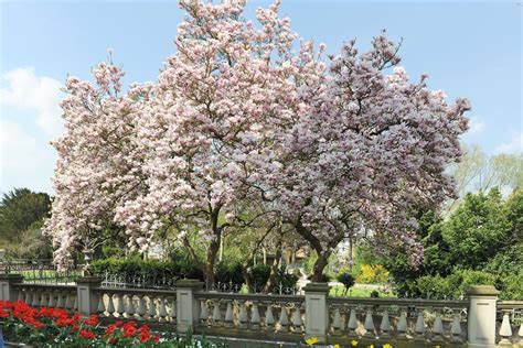 Schlosspark Freizeitaktivität outdooractive