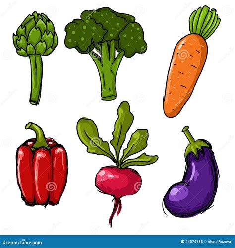 Sistema De Seis Verduras Dibujadas Mano Ilustración del Vector