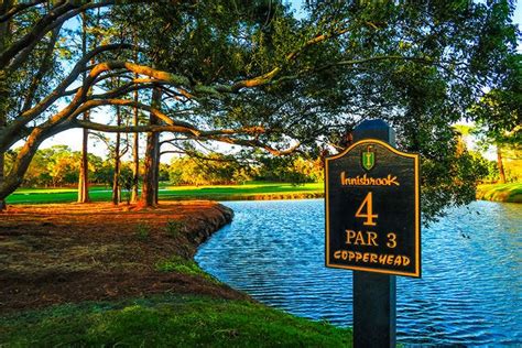 Innisbrook Copperhead Golf Course Is One Of The Very Best Things To Do