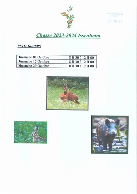 BATTUES DE CHASSE Issenheim