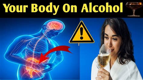 What Alcohol Does To Your Body How Alcohol Affects Our Body Mr