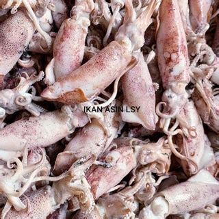 Jual Ikan Asin Cumi Rebus Sotong Rebus Size Jumbo 1kg Indonesia Shopee