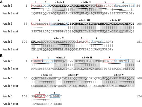 Engineering Of Structural Variants Of The Major Peanut Allergens Ara H