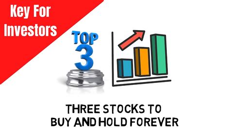 Three Best Stocks To Buy And Hold Forever YouTube