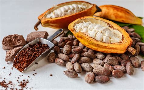 Comprar Cacao Fruta Fresca Y Natural Distribuidor Y Proveedor