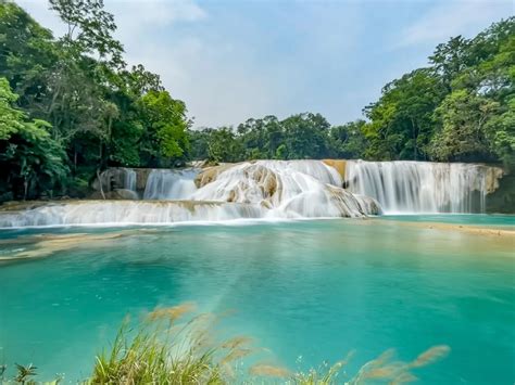 Agua Azul Waterfalls in Mexico: A FULL Travel Guide!