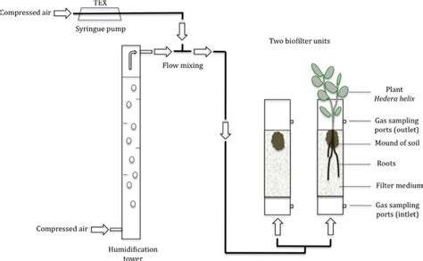 Experimental Setup Of The Laboratory Scale Biofiltration System