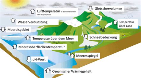 Wissen Ber Den Klimawandel Waldwissen Net