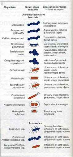 Api 20e Strip Van Een Proteus Mirabilis Medical Laboratory Science