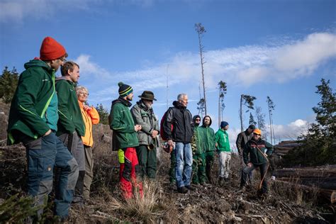 Stadtwerker in Aktion 750 Bäume für den Klimaschutz gepflanzt