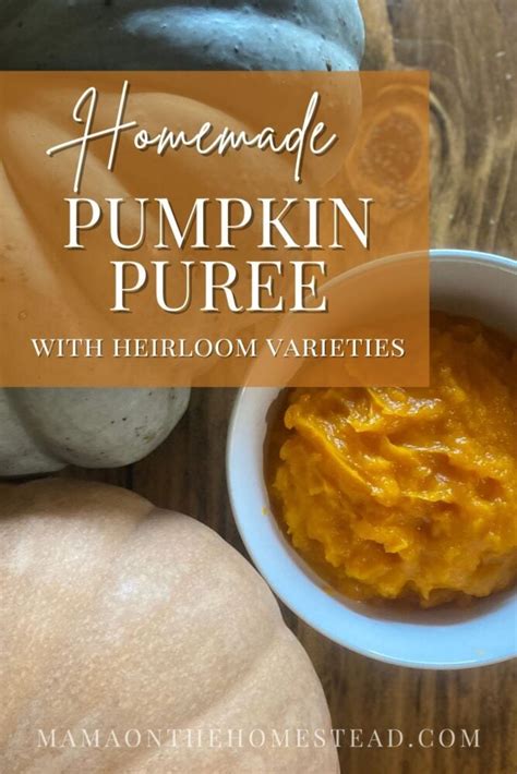 Homemade Pumpkin Puree Recipe Mama On The Homestead