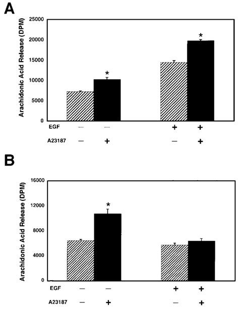 Effect Of Egf On A23187 Induced Arachidonic Acid Release In Hela Cells