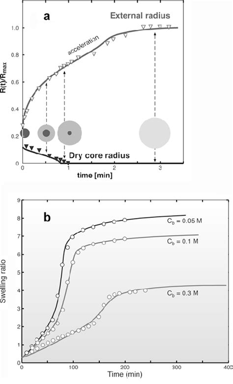 The Swelling Of An Initially Dry Polyelectrolyte Sphere To Its Download Scientific Diagram