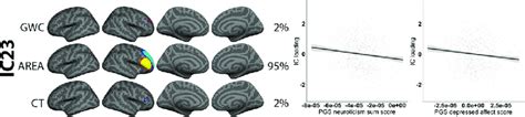 Association Between Polygenic Scores PGS For Neuroticism And A Single